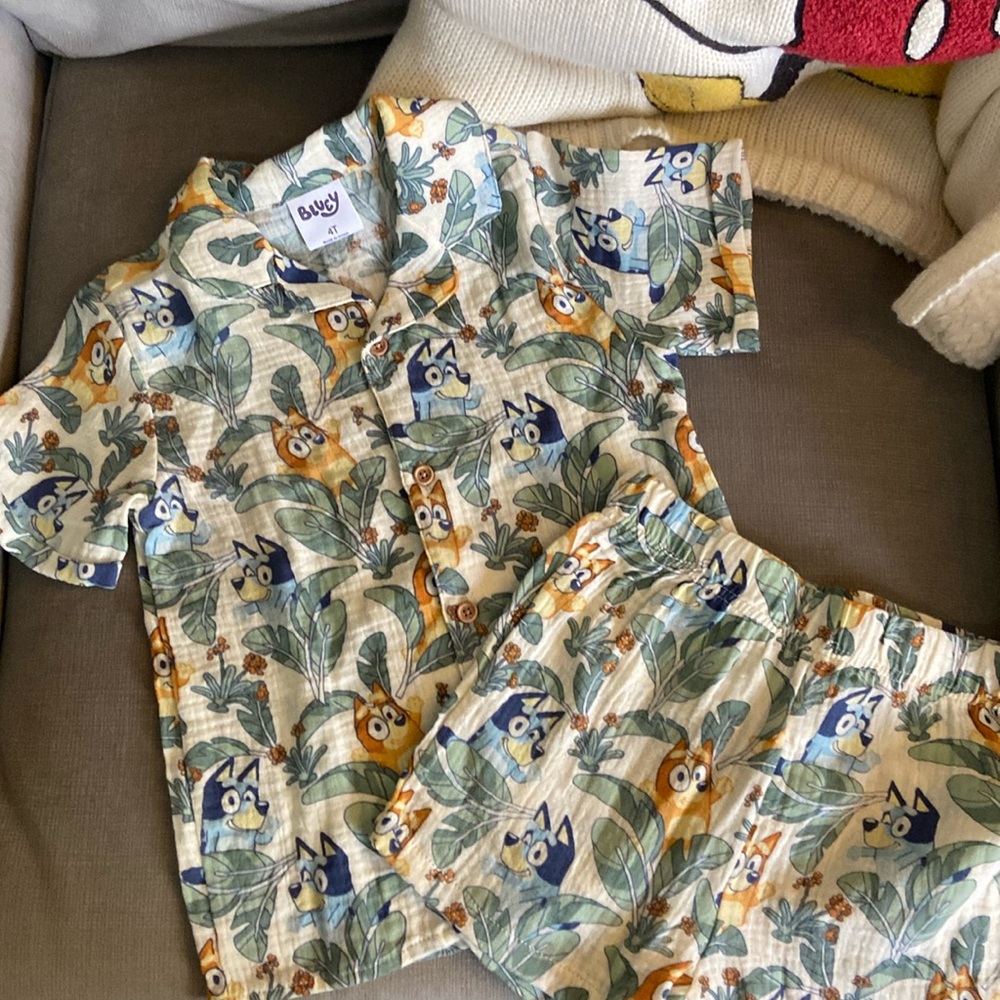 2pc. Bluey cabana set